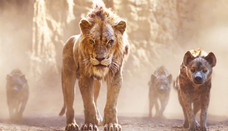 映画 ライオンキング 超実写版 音楽にも感動 Shifaranoto 映画 ライオンキング 超実写版 音楽にも感動 Shifaranoto