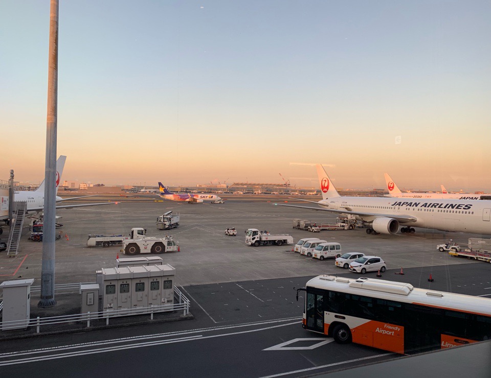 Jalどこかにマイル 日帰り 行き先は高知県に決まり Shifaranoto